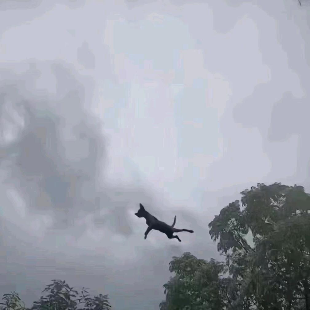 心向阳，春常在