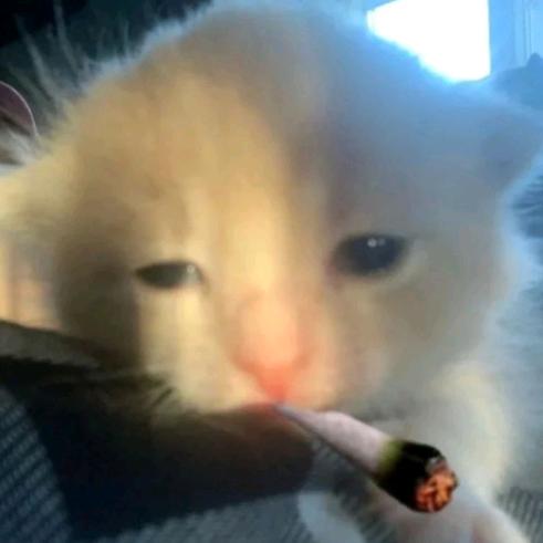 发现老公是0被迫iiii的那个雨夜