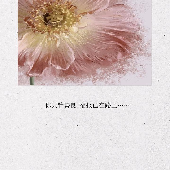 做手工包子的安心
