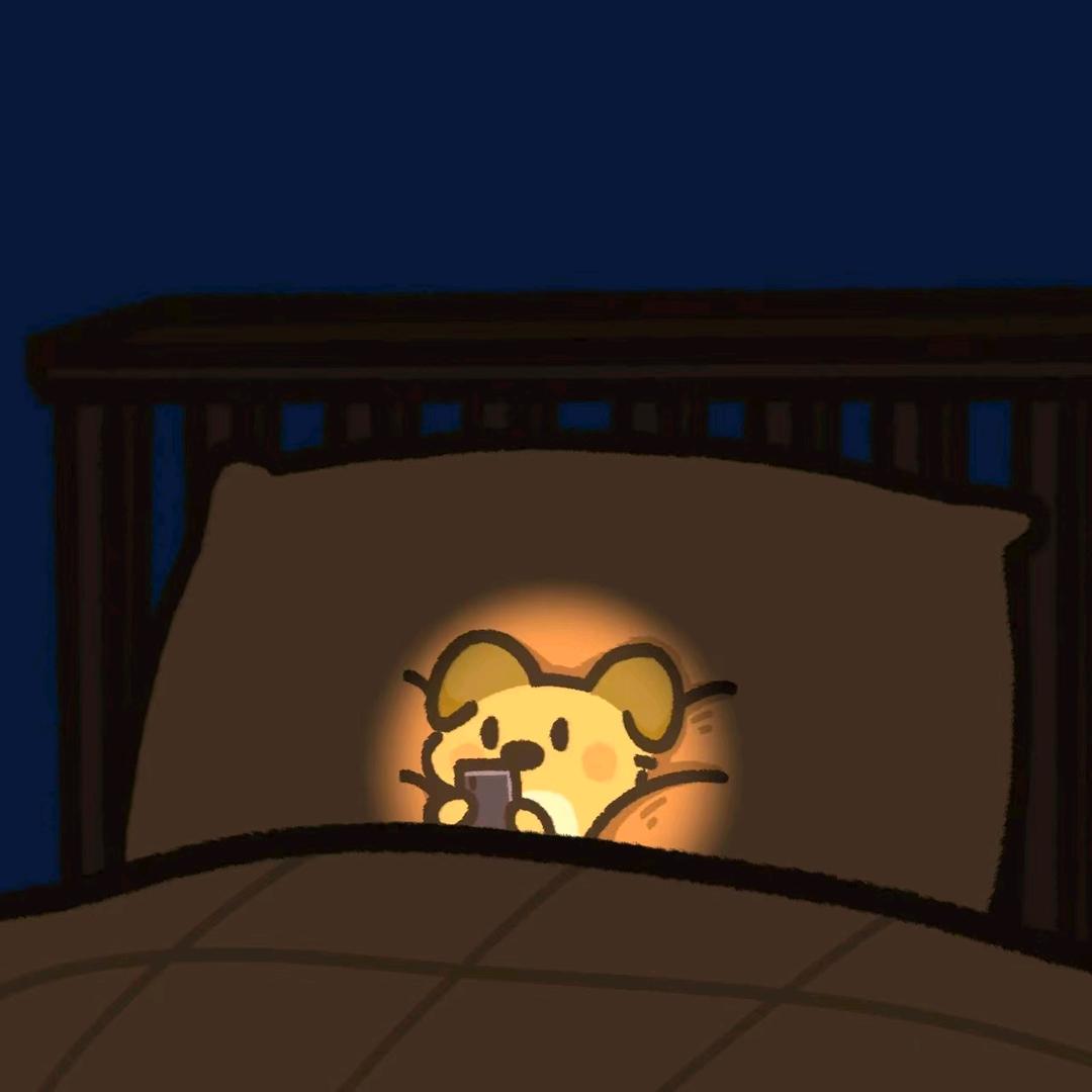 张安柯🌙