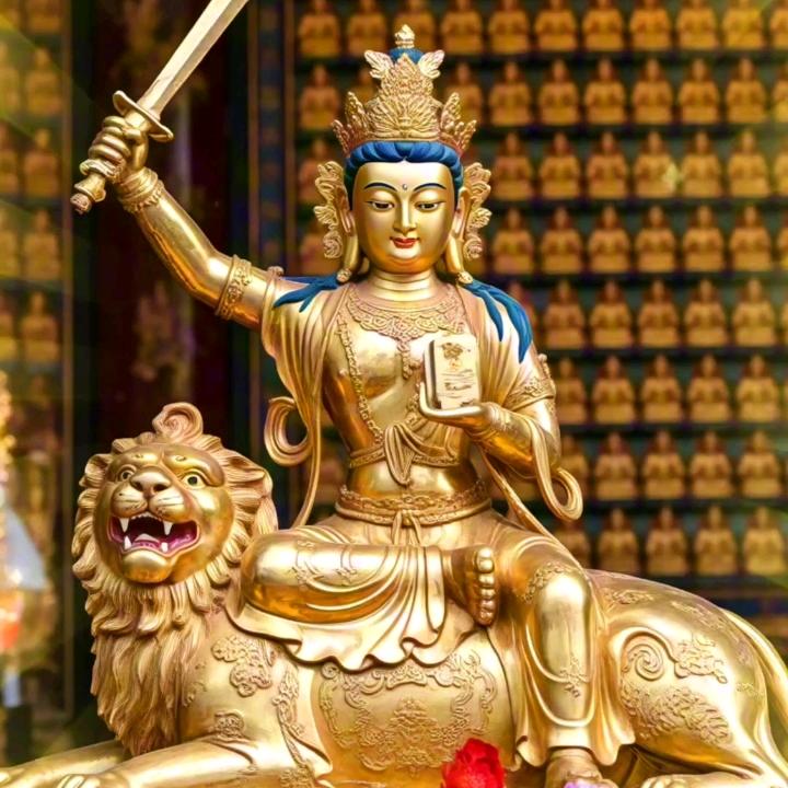 紫微智堂经典读书会