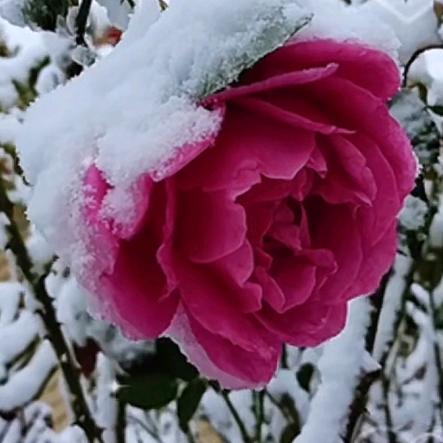 往事清零。🎤🎤🎤