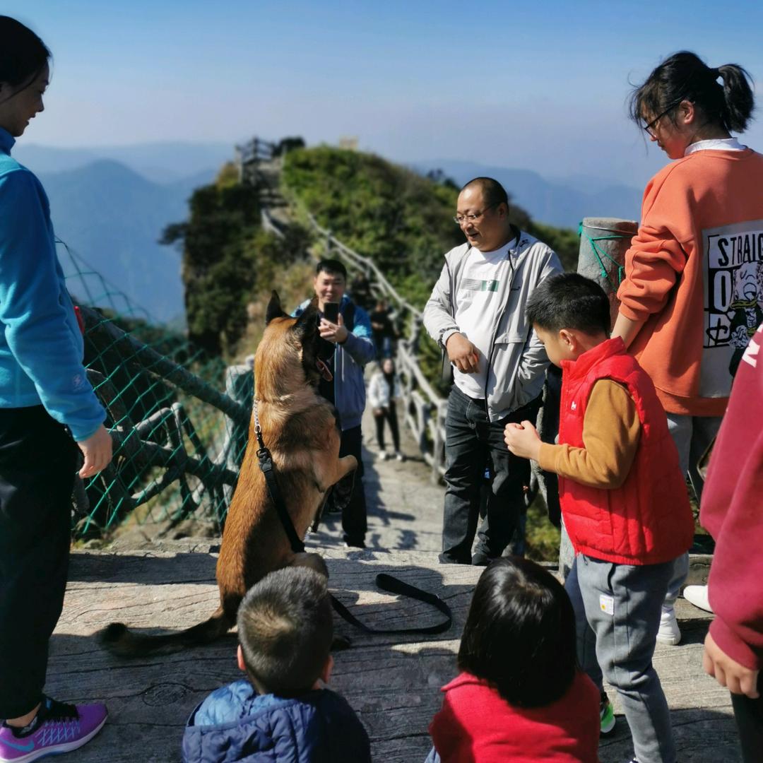 我的战友叫追风