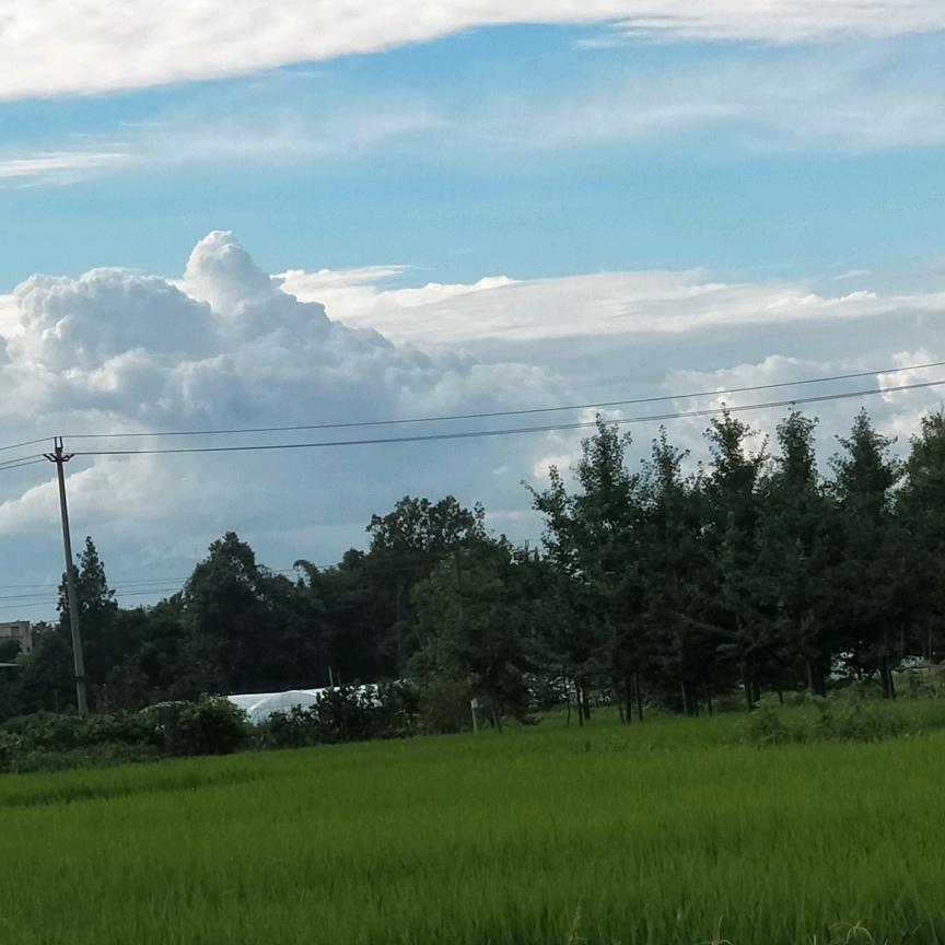 林林！