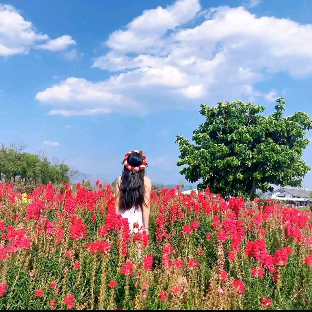 子茹:微微WY0716V