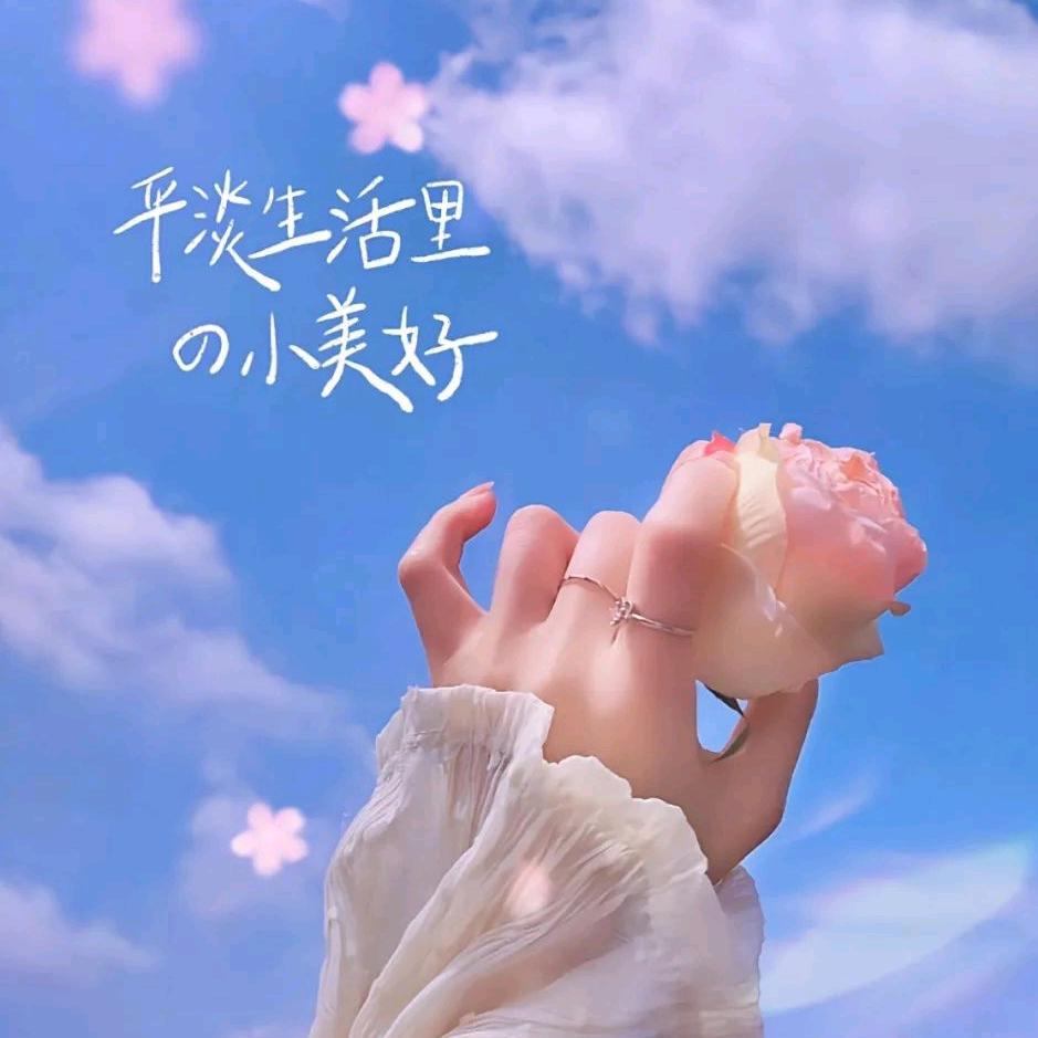 ꧁柒夏꧂