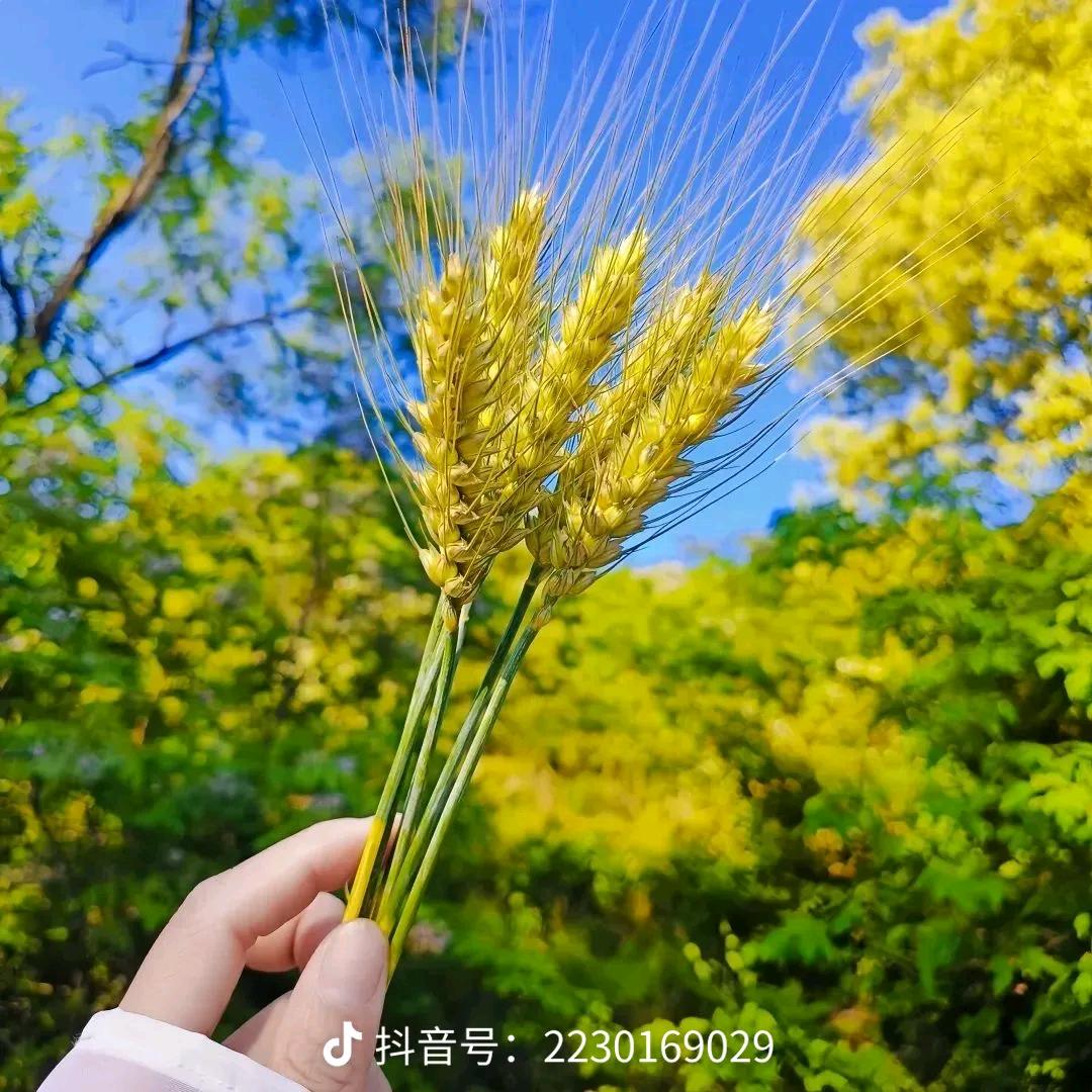 (๑♡ω♡๑)嗑到了