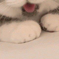 ✝️互联网重度依赖✝️