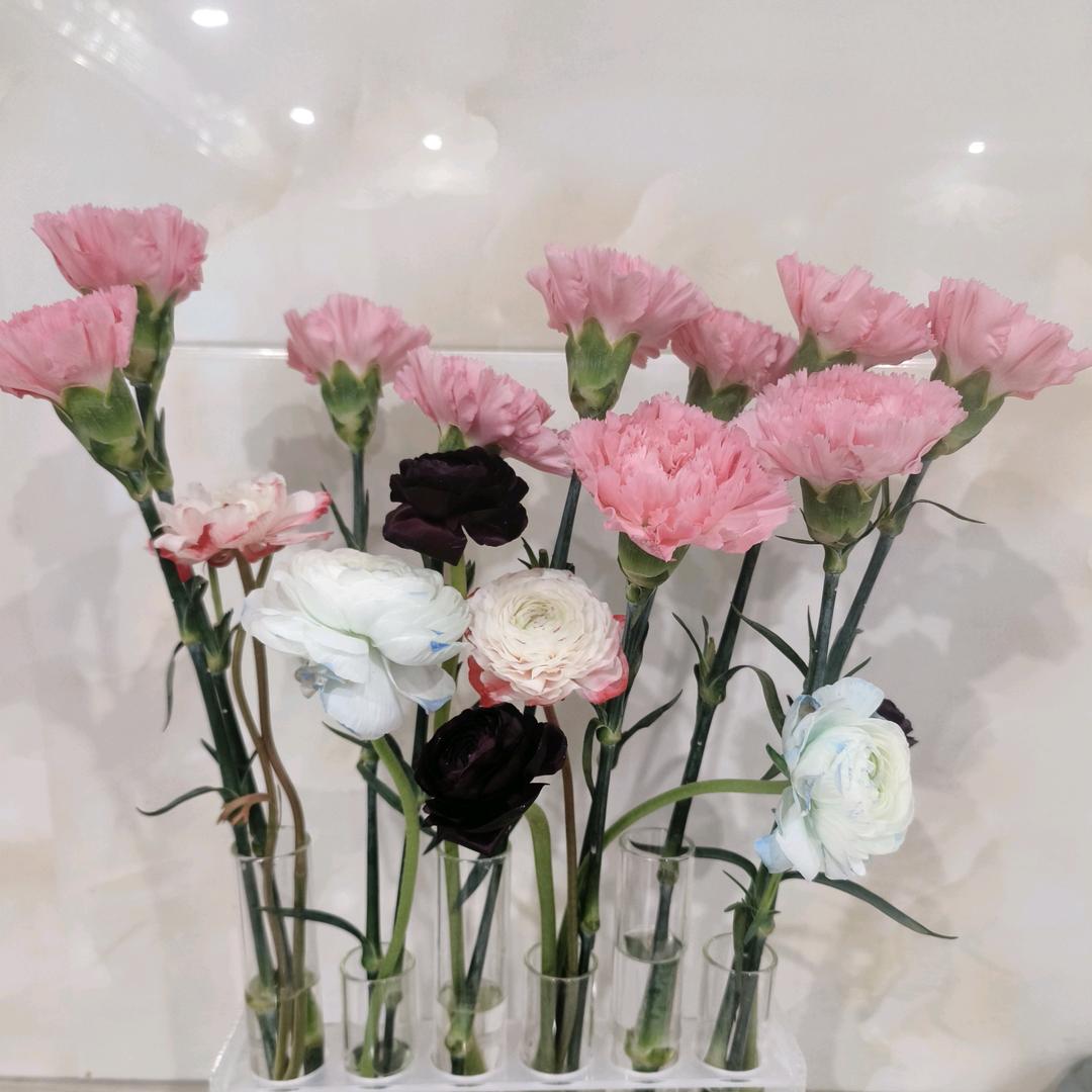 明天比今天更好