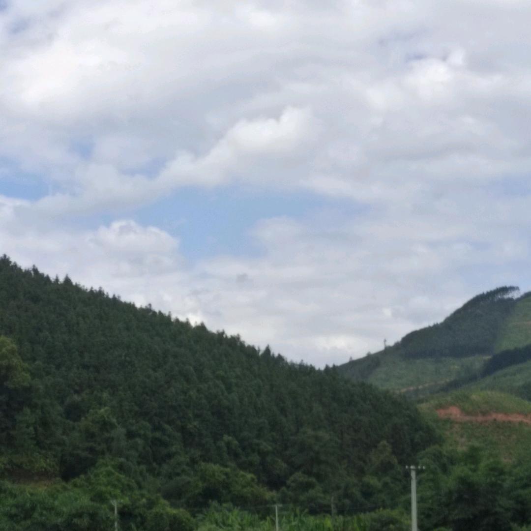 用户4941583194067