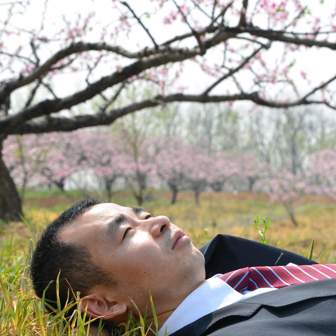 天水老杨哥