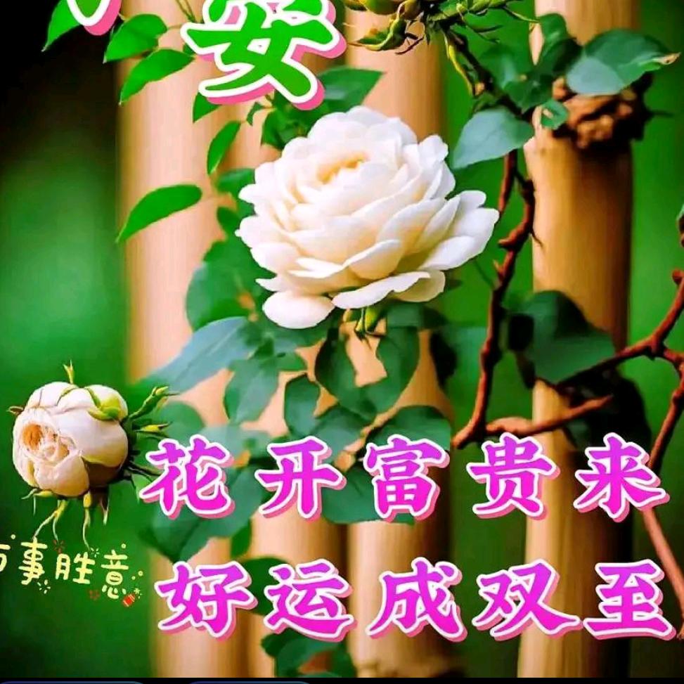 开心每一天都在想你