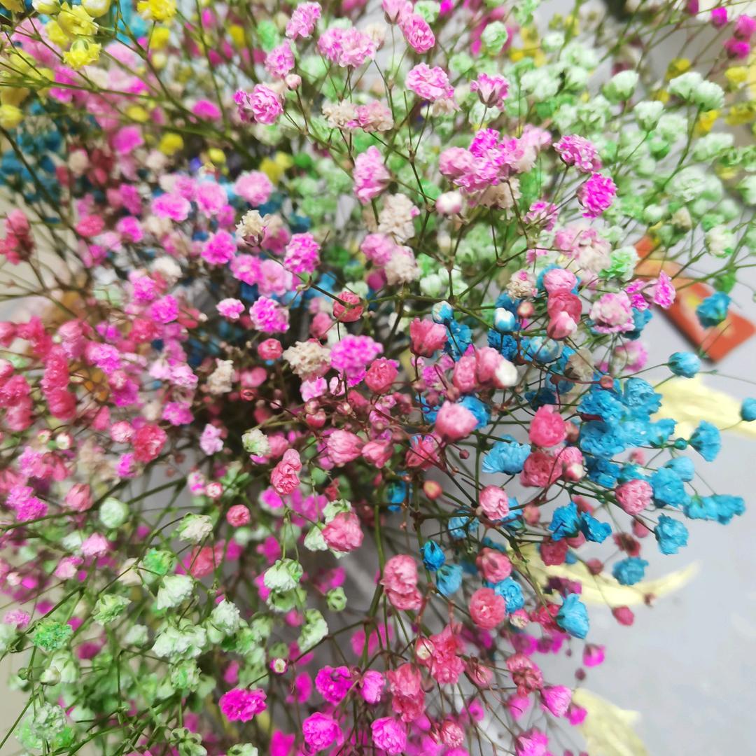 🌹四季平安🌷