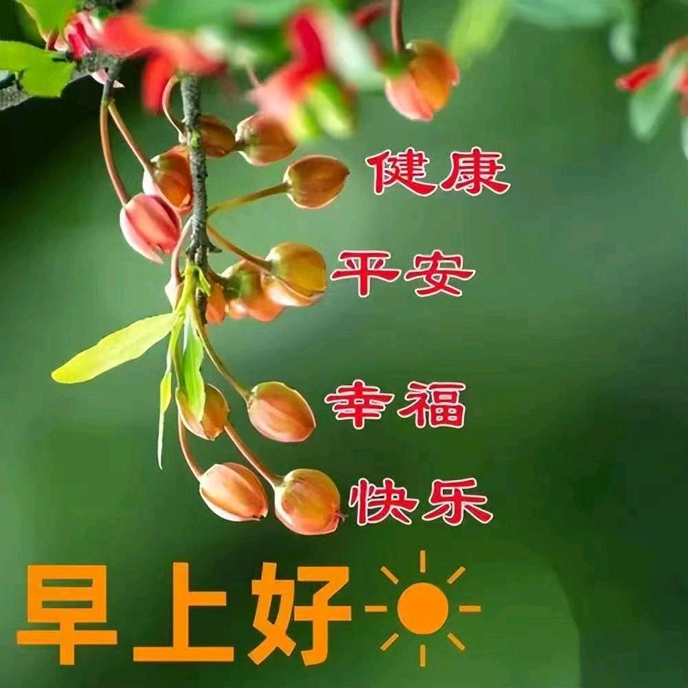 嘚瑟