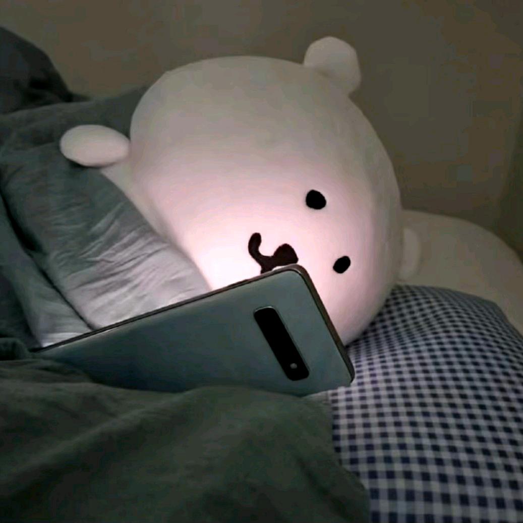 朔夜观星