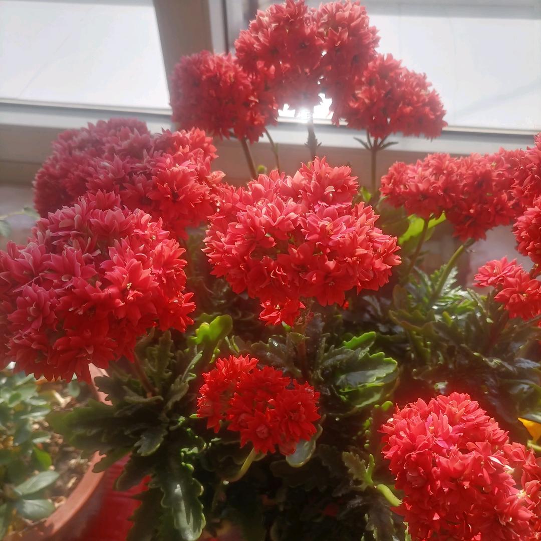 小幸福