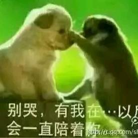 农二代，每天晚上，10.10分开播