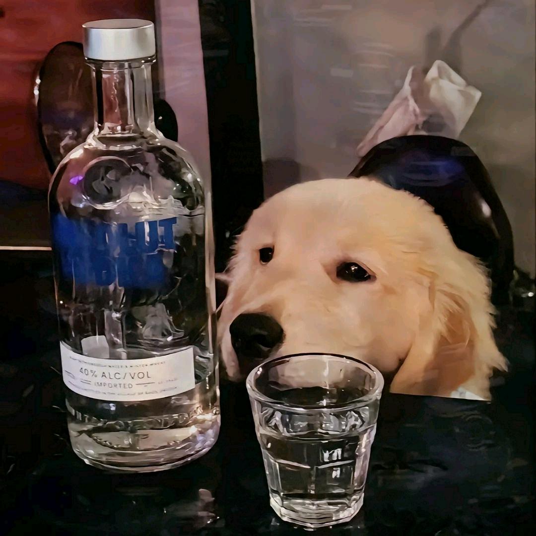 www