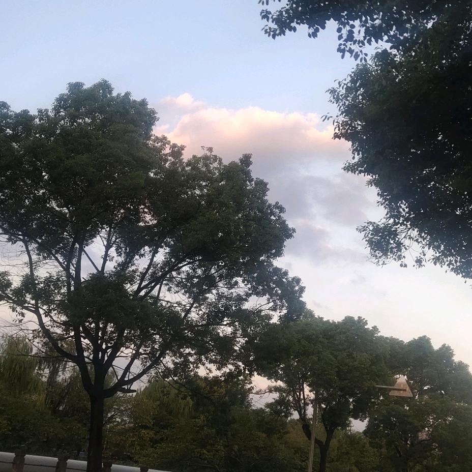 一心❤️（风雨）