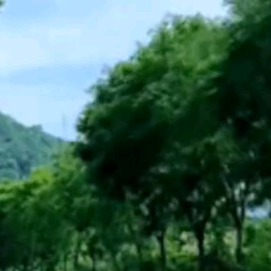 撤离。