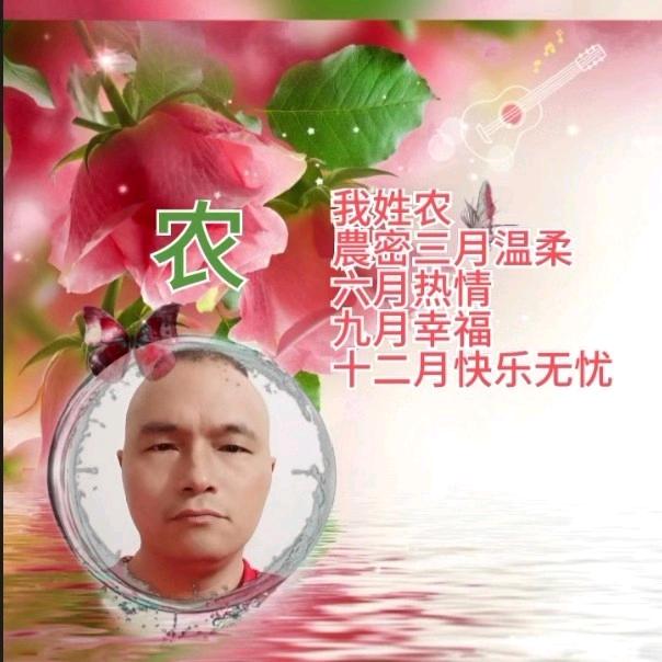 💞|农情💖有李💕