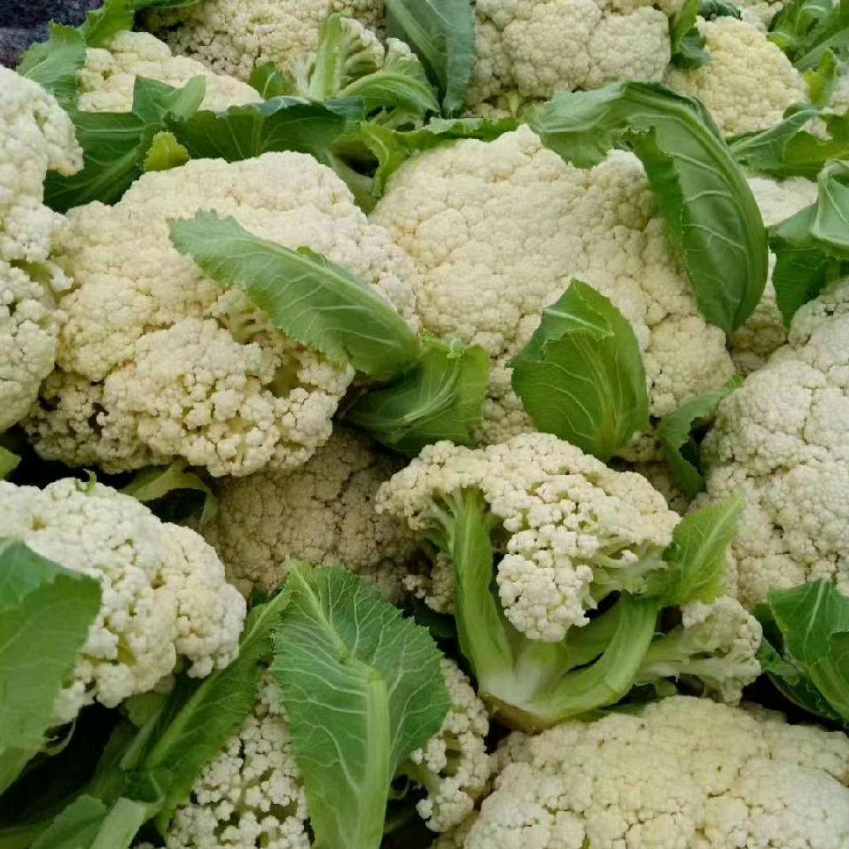 铜山区陈昌伟蔬菜经营部