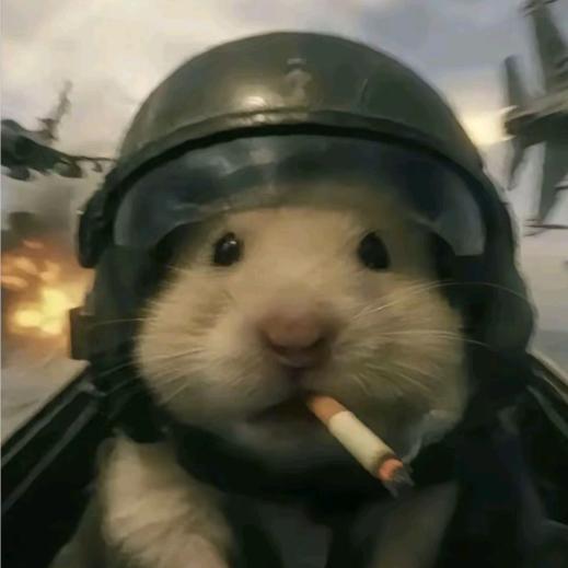 麻辣鼠头