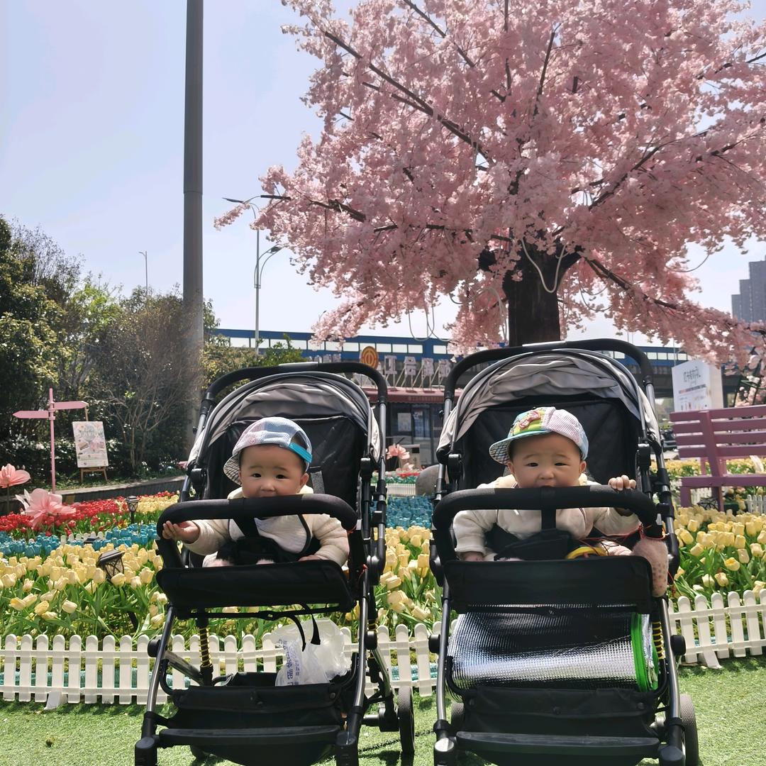 🐉楠楠🐉汐汐  是双胞胎