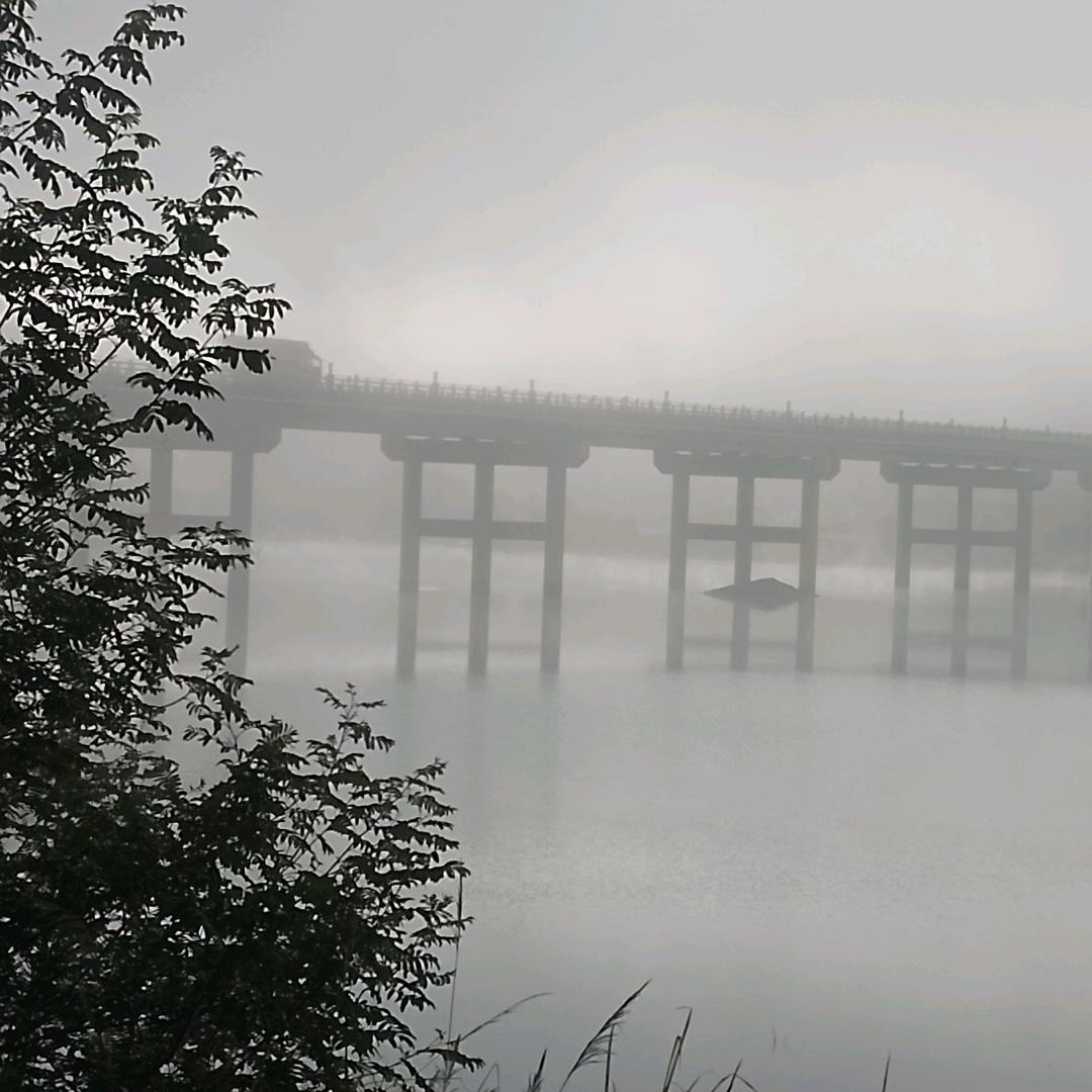 错拿浮生乱流年