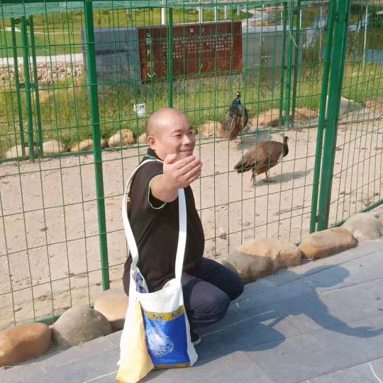 情哥情妹都是骗局