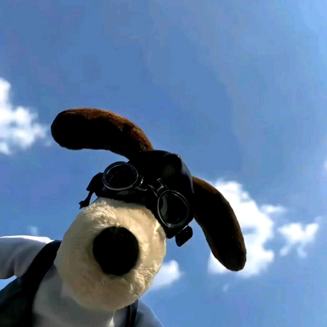 含着奶瓶梦红楼