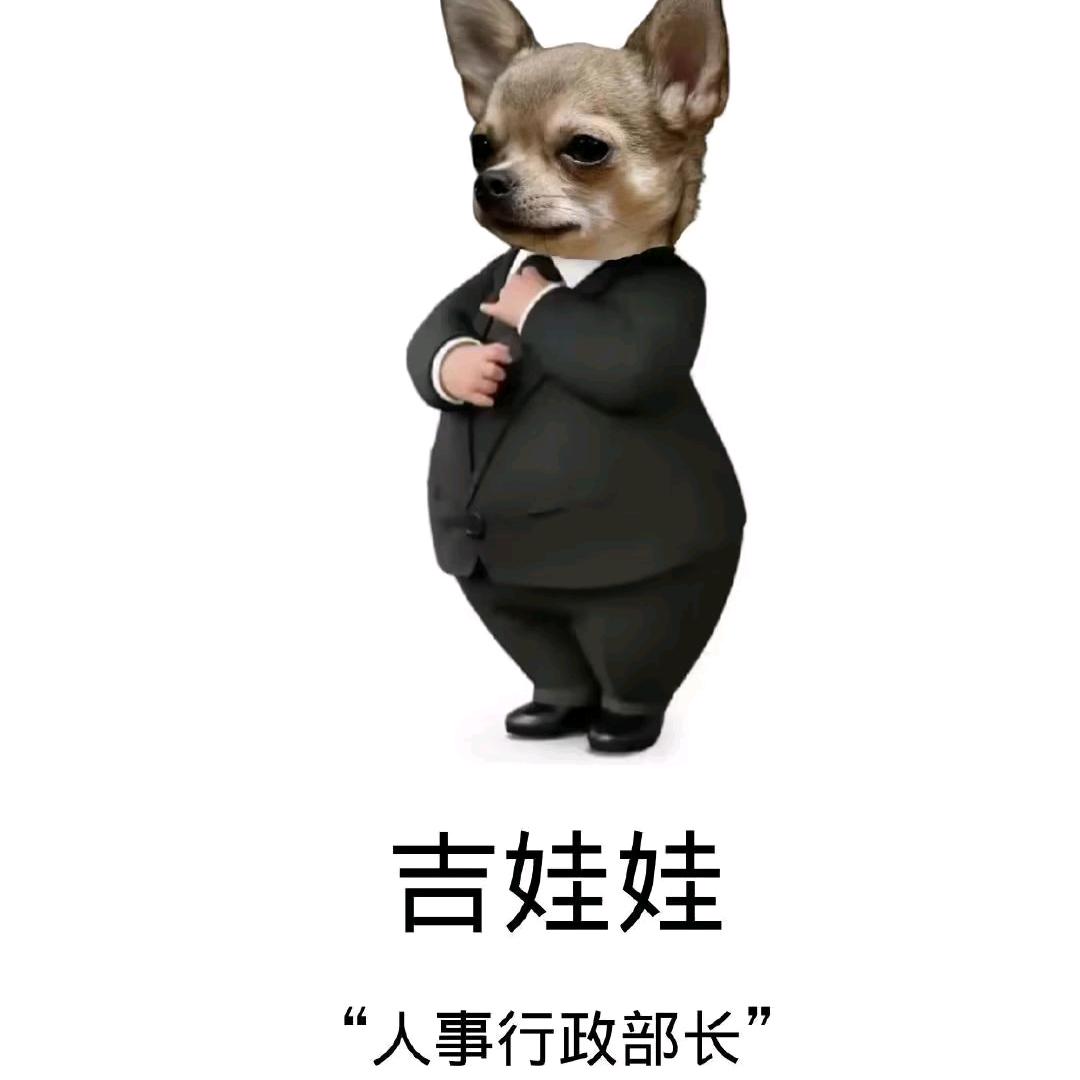 晚风与卤蛋