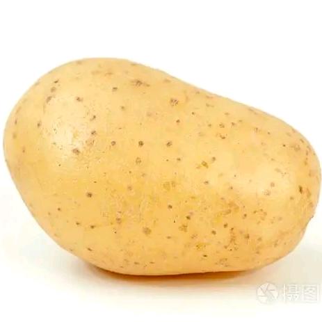 马铃薯的土豆