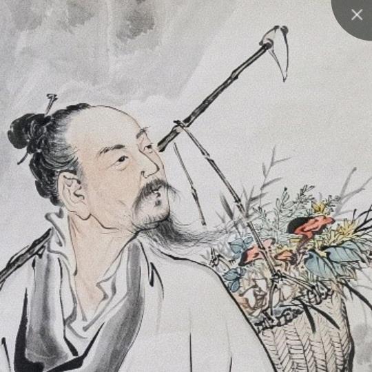 红土