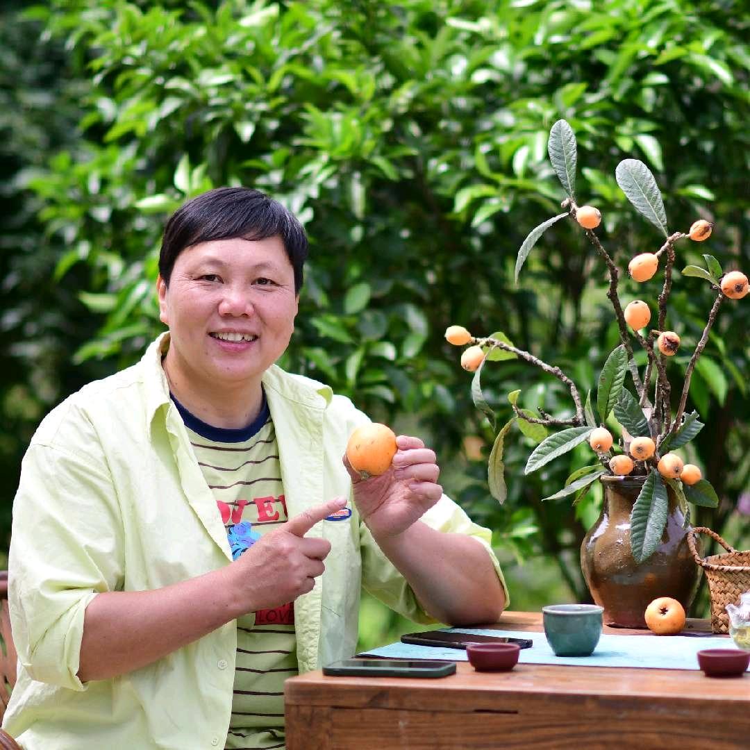 澄晓橙（种枇杷的晓橙姐）