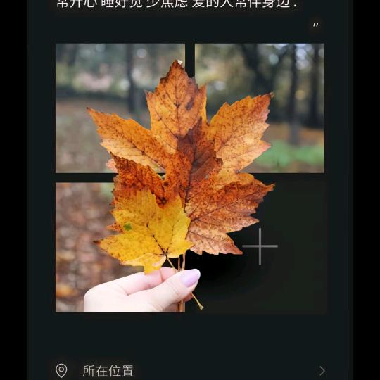 转裑ゞ灬巳陌