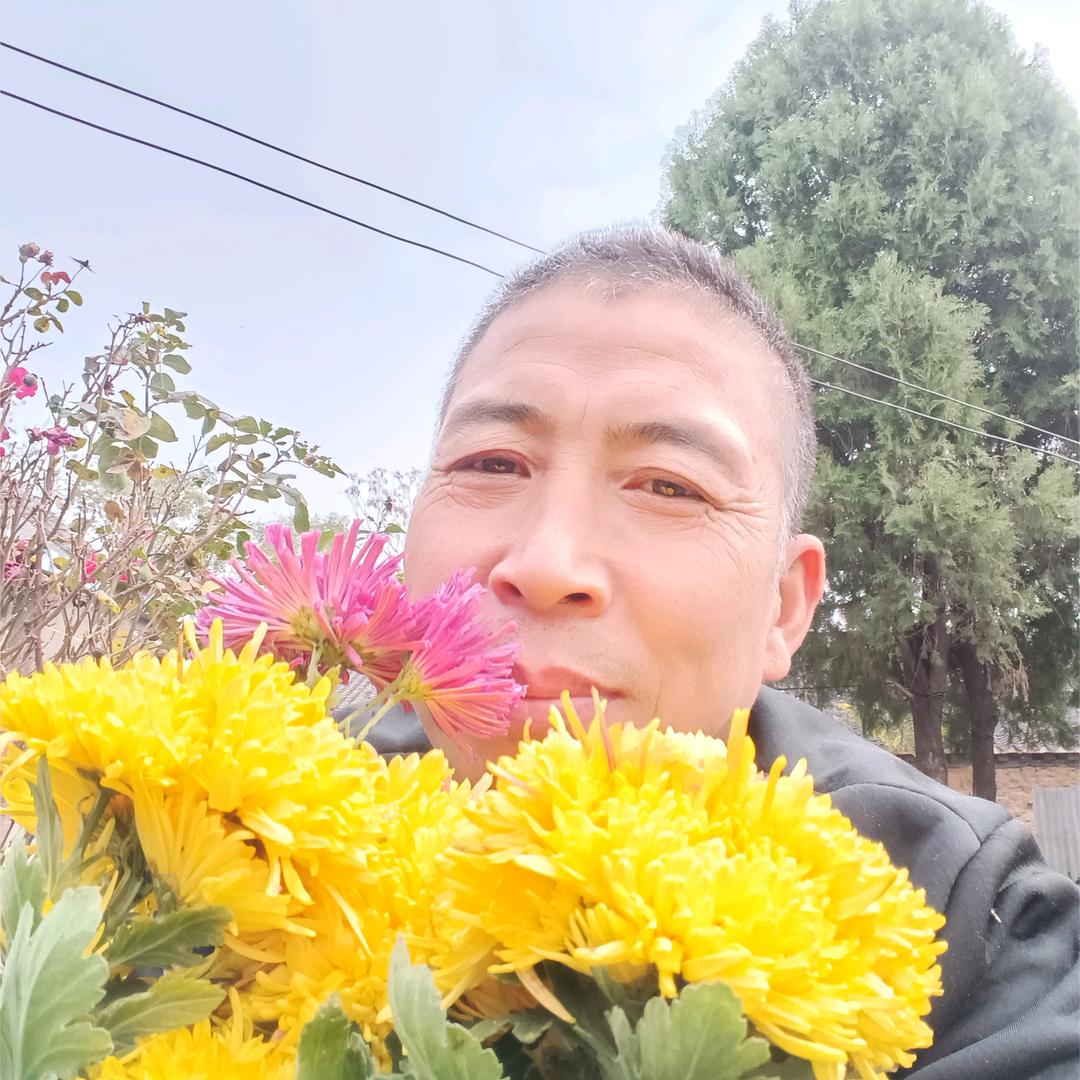 痴情码头哥