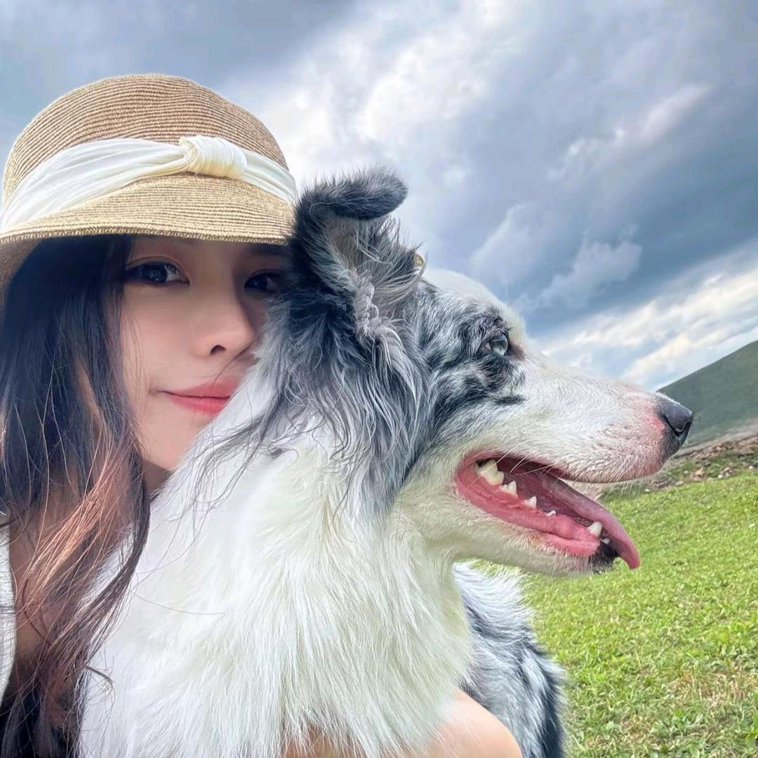 鑫钰俊成建筑资质咨询公司