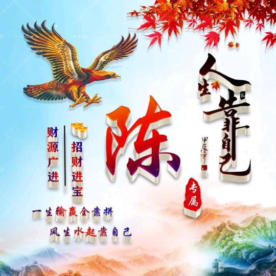 未来的天空