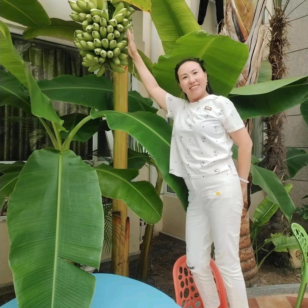 麻秀丽