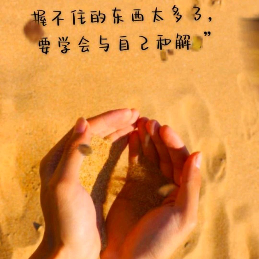 萍水相逢🐶