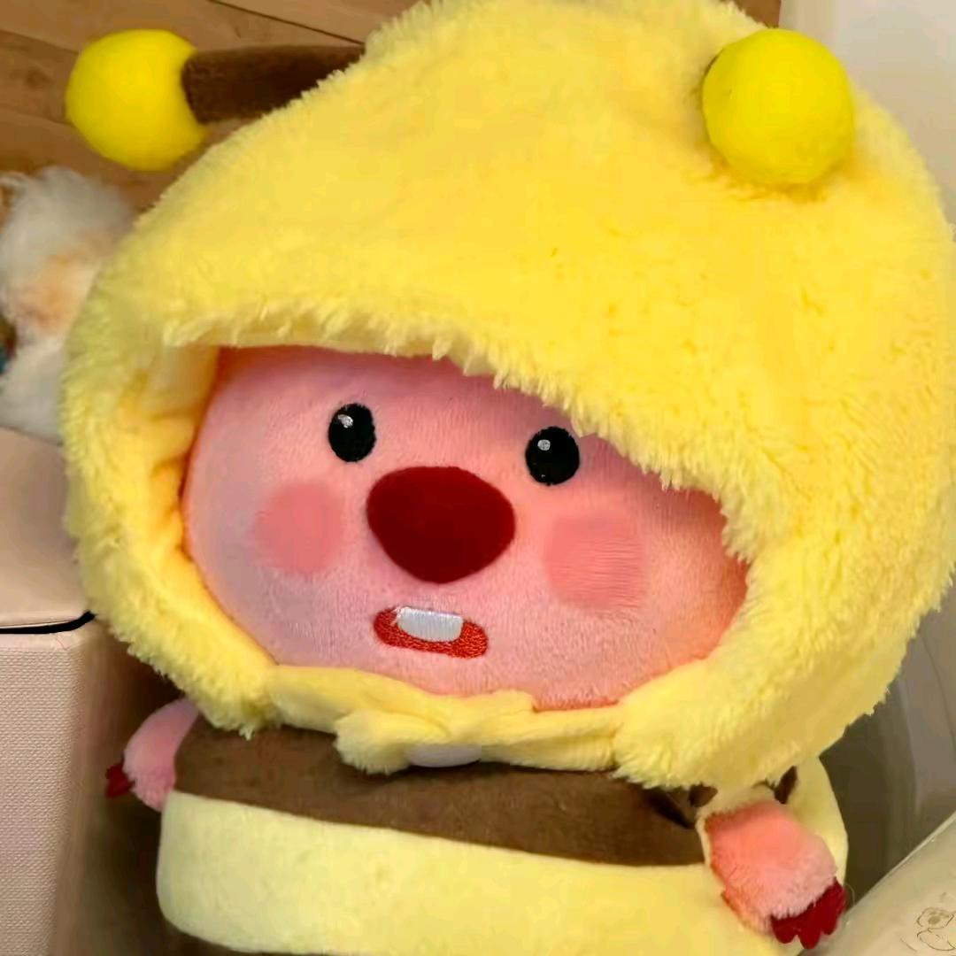 青甘普洱