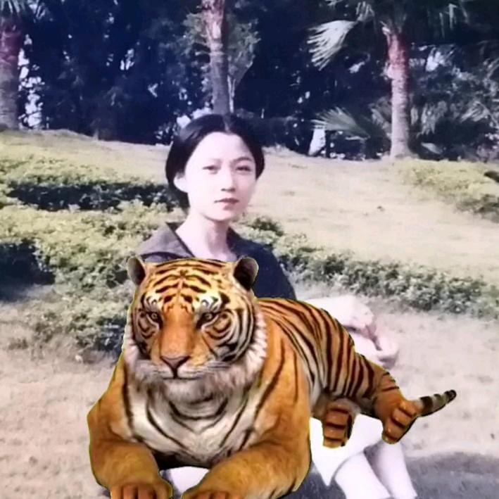 *･逸心･ﾟ:･☆