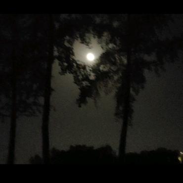 雏鹰起飞