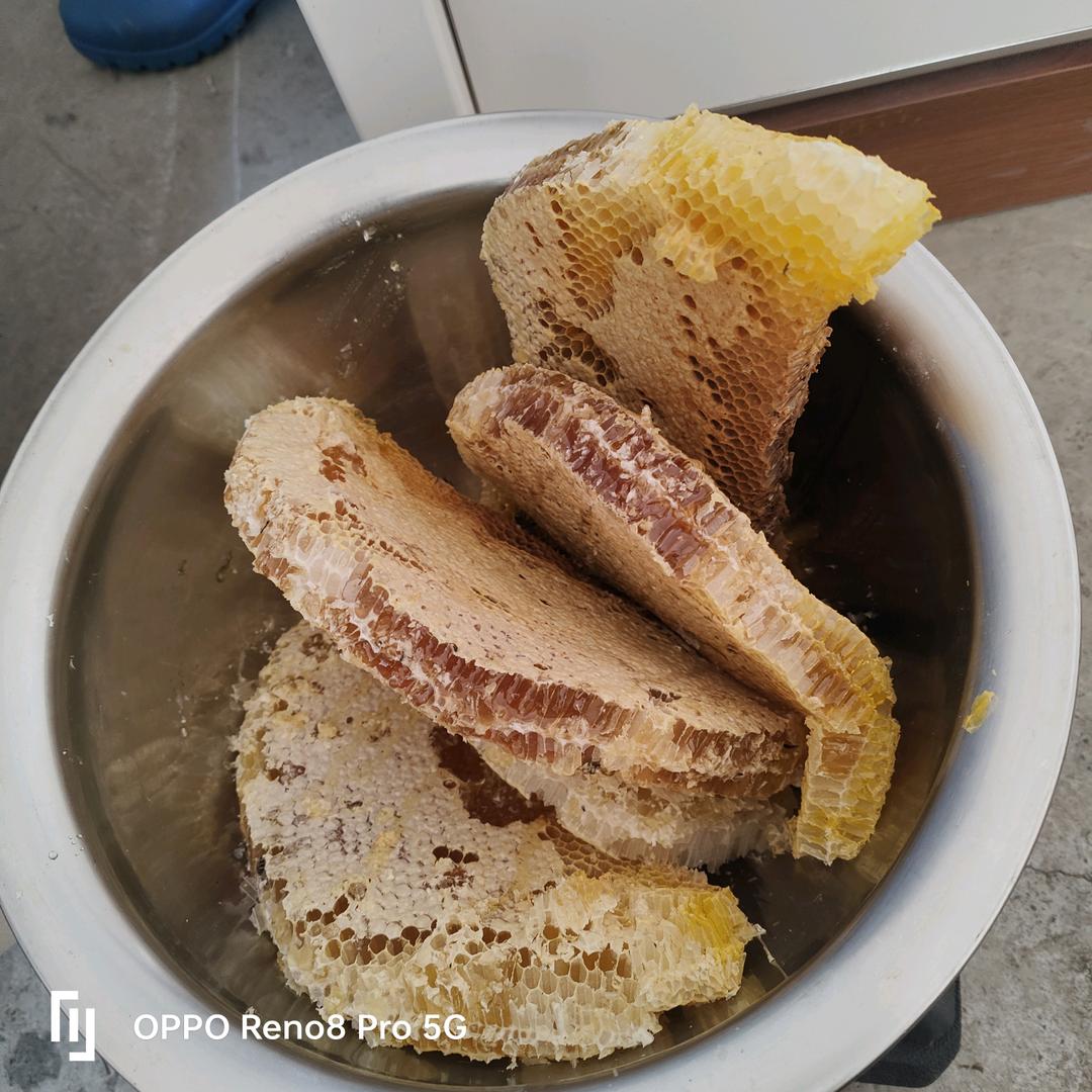 你是我的小不点