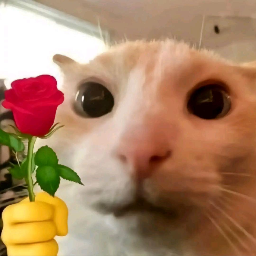 老沈
