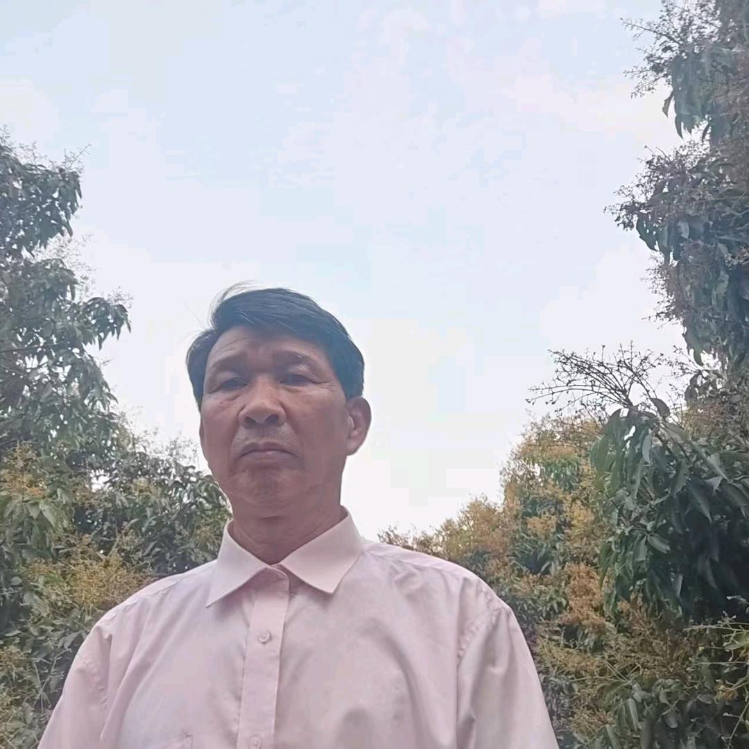 老杨谈荔枝龙眼