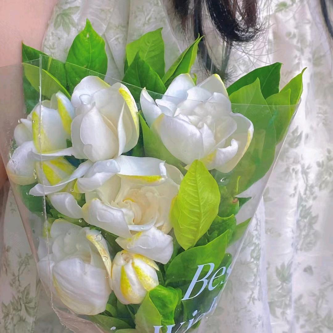 自渡la