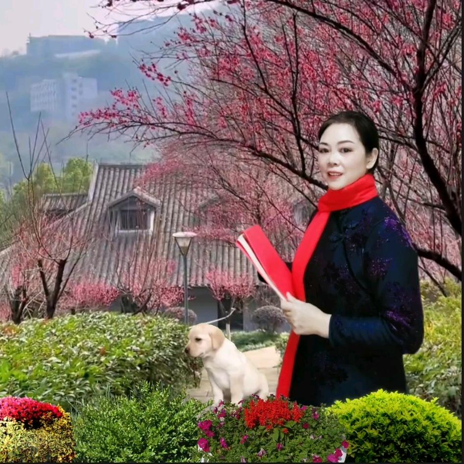 童心未泯🇨🇳