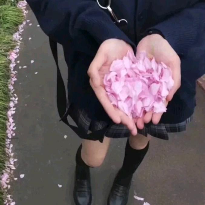 鱼鹰ᵒˢᵖʳᵉʸ.